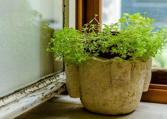 公寓 Andromeda Lovely One Bedroom 杜布罗夫尼克