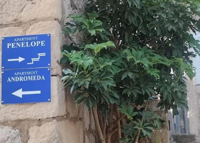 Andromeda Lovely One Bedroom